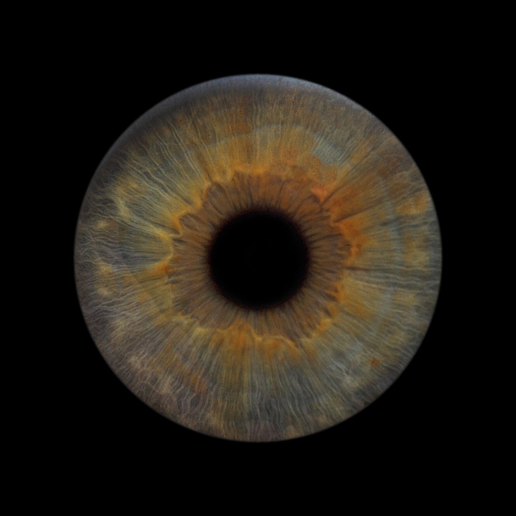 [DigIdea 2010-03 Iride]