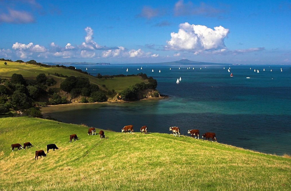 [DigIdea 2010-03 Shakespear Park]