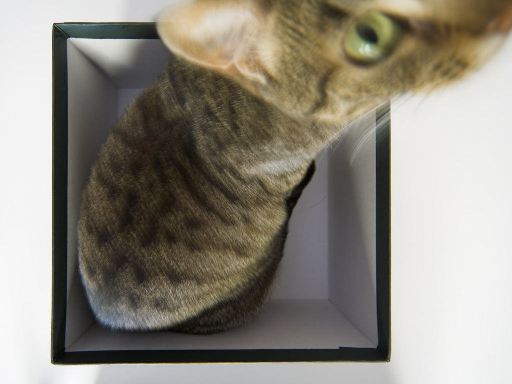 [DigIdea 2011-04 Saffo Reboxed]